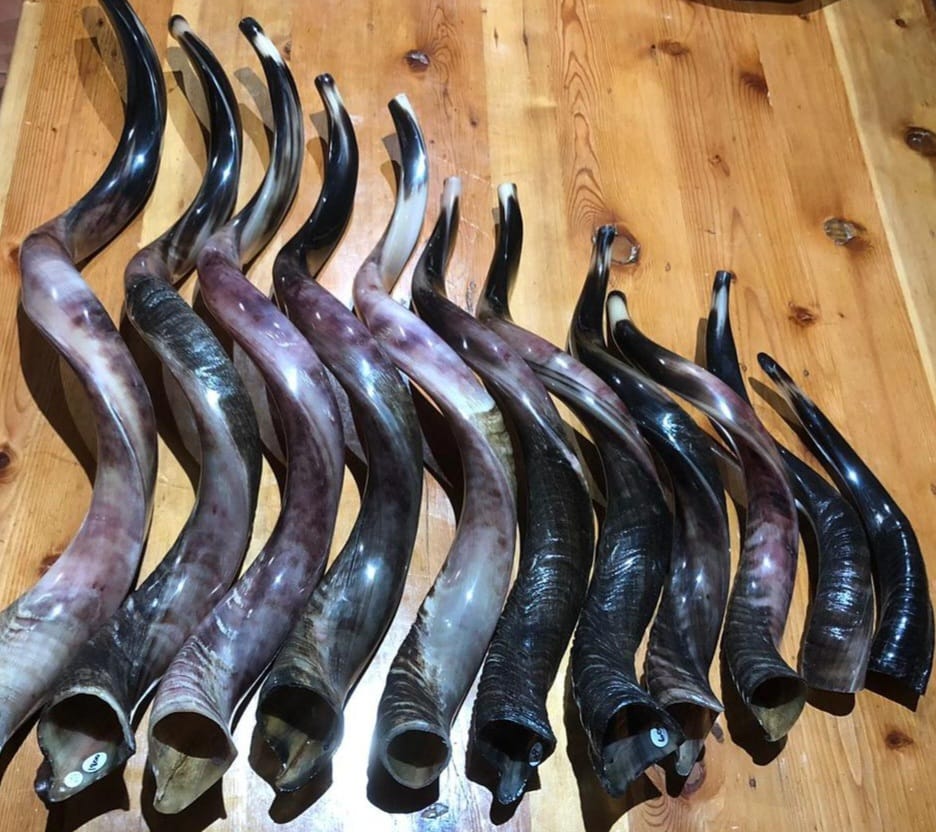 Kudu