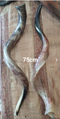 Kudu