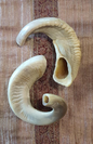 Ram`s Horn