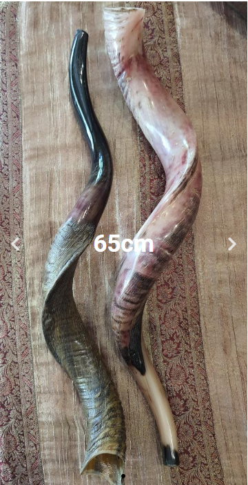 Kudu