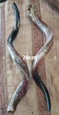 Kudu